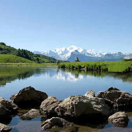 Chalet Vouren Les Gets
